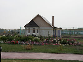 IMG_3665.JPG